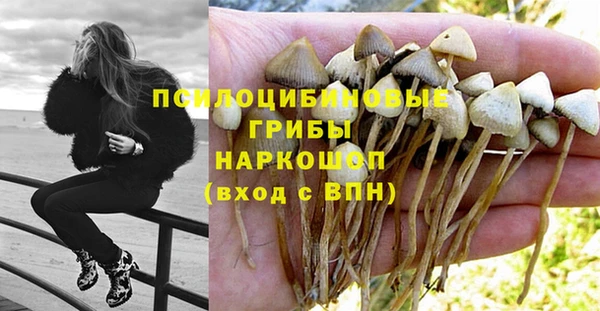амфетамин Алексин