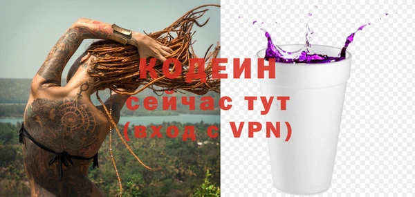 ГАЛЛЮЦИНОГЕННЫЕ ГРИБЫ Абаза